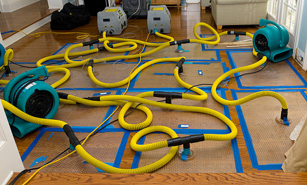 Professional Structural Drying And Dehumidification technician working in Edon, OH